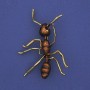 Brooch 'Ant' with Brown Enamel, Golden Metal 42x57mm+