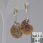 Earrings with natural ammonites, 24×17×6 mm, length ~50 mm, assorted sizes
