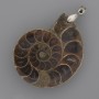 Ammonite Pendant 42x35mm, length 52mm, ± assorted sizes (per piece)