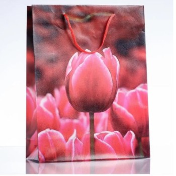 Clearance! Gift bag 18×24 cm (PE material)