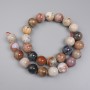 Fossilized Coral Beads, Smooth Round Beads, 14 mm Diameter, on a string, 39 cm length
