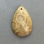Fossilized Coral Pendant 36×24 mm+