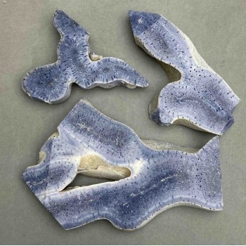 Price per 100 g! Souvenir plate of natural Sponge Coral from 50×65×10 mm± to 110×70×10 mm±, size assortment