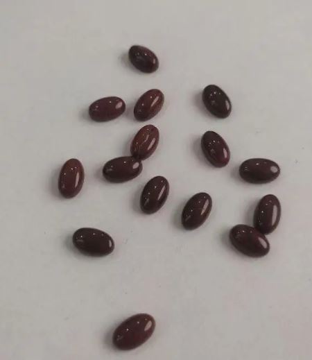 Cabochon Findings, Mini Oval, Red Jasper, 8x5 mm+