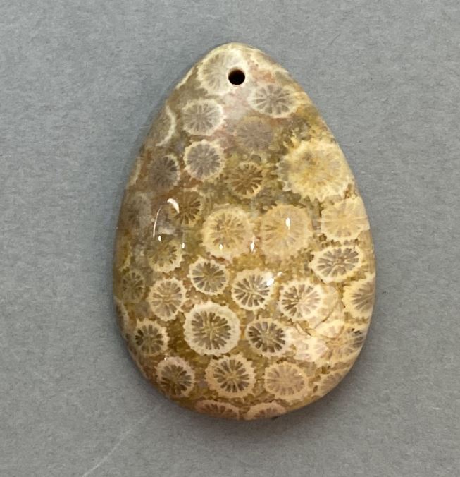 Fossilized Coral Pendant 35×23 mm