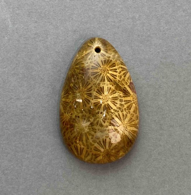 Pendant Fossilized Coral 38×24mm+
